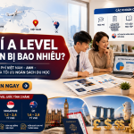 Chi phí A Level chi tiết: Phân tích toàn diện và chiến lược tối ưu ngân sách